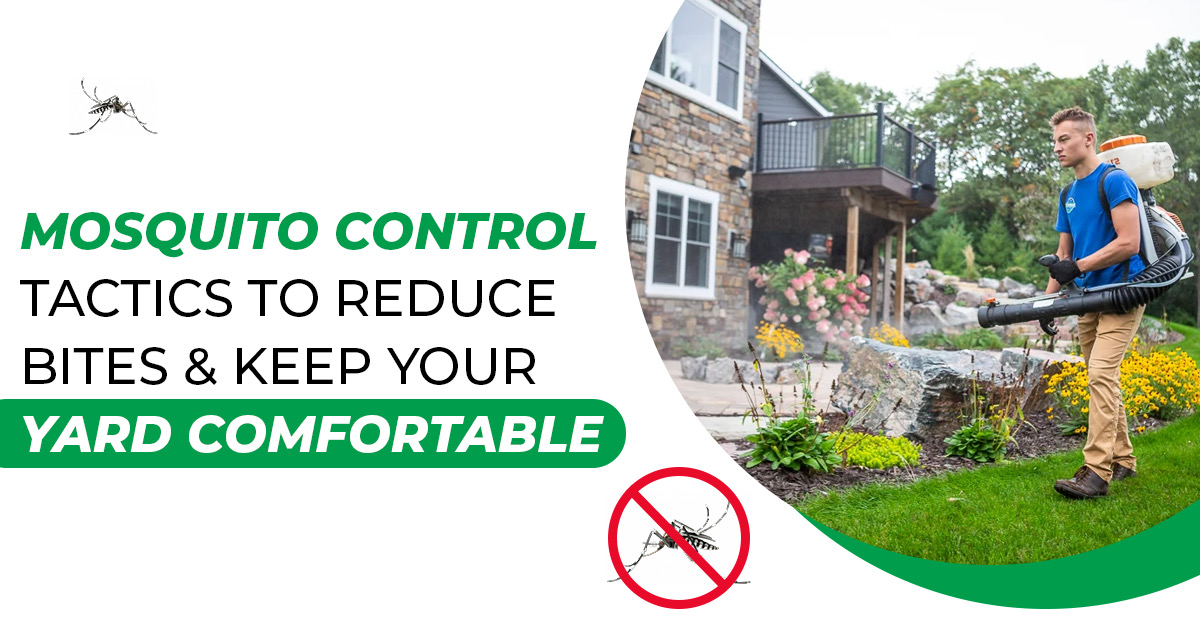 Mosquito Control: Say Goodbye to Bites & Enjoy Your Yard
